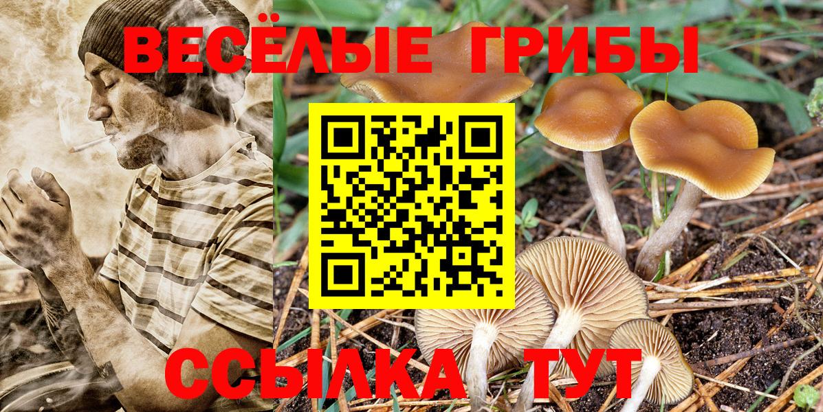 Галлюциногенные грибы GOLDEN TEACHER Шумерля