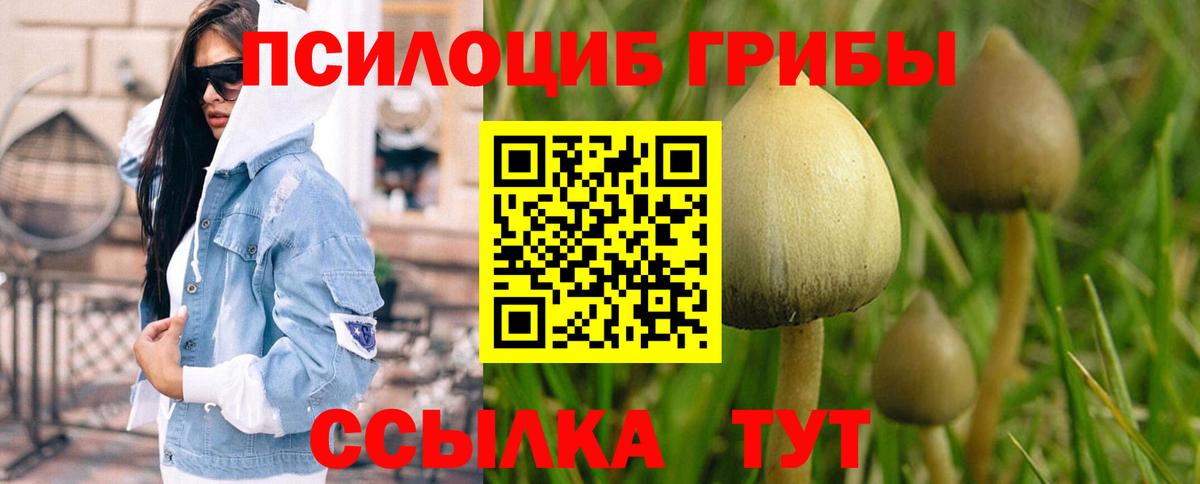 Шумерля  Галлюциногенные грибы MAGIC MUSHROOMS  Вход с VPN 